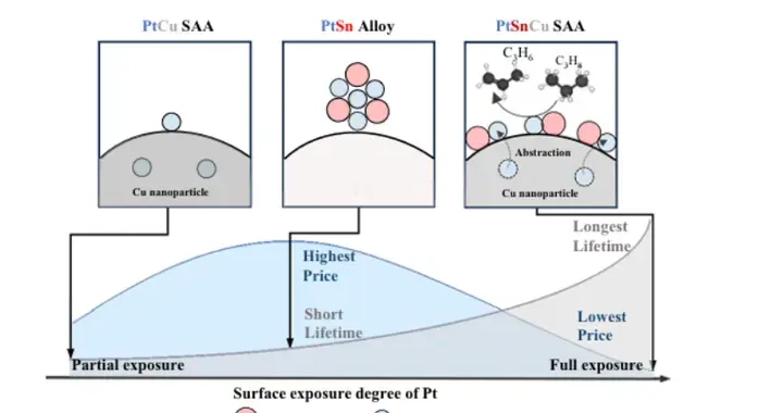 不是点金术，但效果差不多！天津大学巩金龙团队发明原子抽取法，大幅提升催...