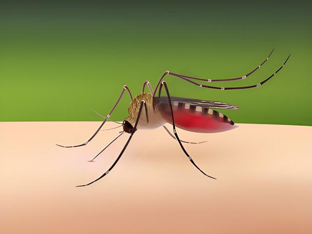 蚊子为什么不进化的叮人没感觉？这样不是更容易生存吗？