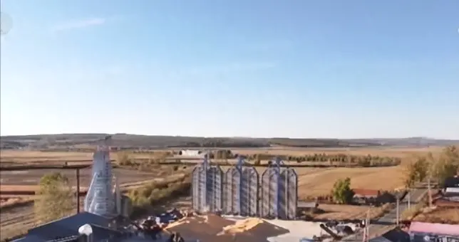 秋粮收购量突破2亿吨，创近年同期新高，粮食安全基础稳固