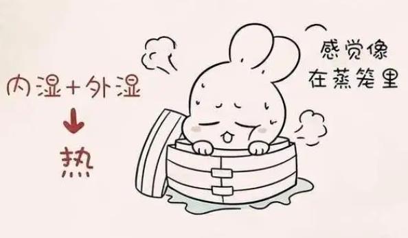 用好一药，排一身湿热，打通三焦！