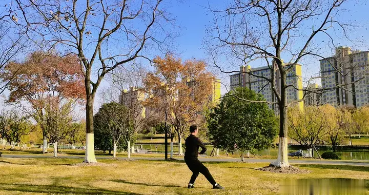 逆序太极：当云手倒卷，如何重构身体与认知的边界​