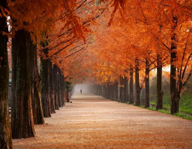 告诉你个秘密：靠自己的人，命最好！