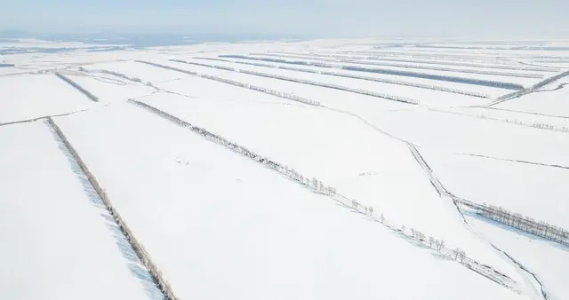 黑龙江近期雪天“打卡”频繁！阵风可达8级，风吹雪+道路结冰双