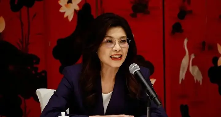 郑丽文上任半年就被人架空，国民党主席沦落到令不出中央？
