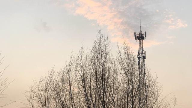 自渡成舟：2947人群2946个托！这诈