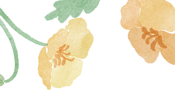 安心托育 | 情暖稚心，“育”见生活