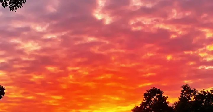 我是爱你的，你是自由的！