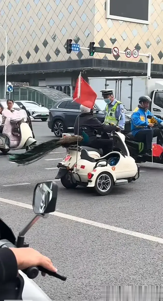 还是淄博人会玩，大爷街头遛孔雀，交警都怀疑是不是自己看错了！