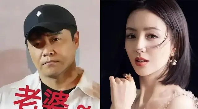 陈思诚与佟丽娅：离婚后的“商业合伙人”与“好爸爸”人设