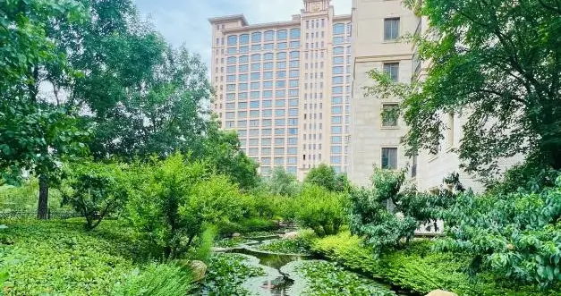 超质兑现，不负期许｜星河湾以品质定标西安改善人居