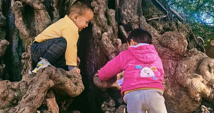 高智商的娃，大多有这3个“坏毛病”，父母不要错怪他