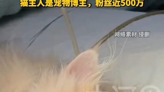 阿芃看法：深圳宠物医院赔偿30万元，创下