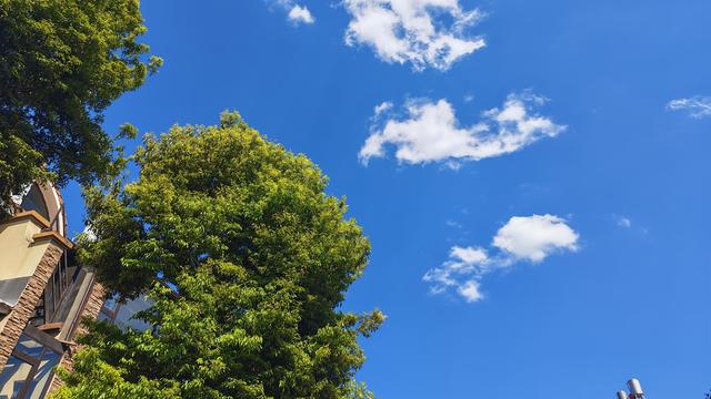 豁达风：我已经自己给自己限高了：上班乘地