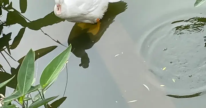 人到中年，原来最大的靠山是自己