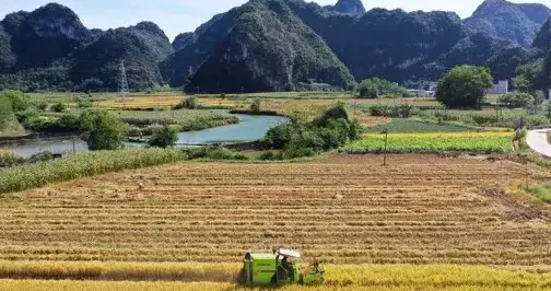 毛主席心里的“农民工”，是怎样一个“农民工”？