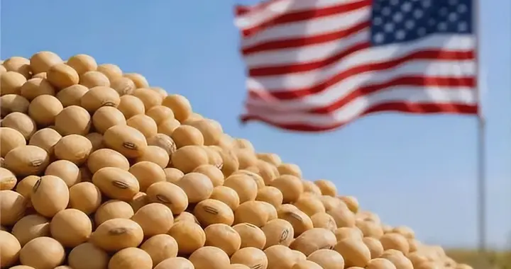 特朗普终于醒悟了，赶在中美谈判前，先对中国退了一大步