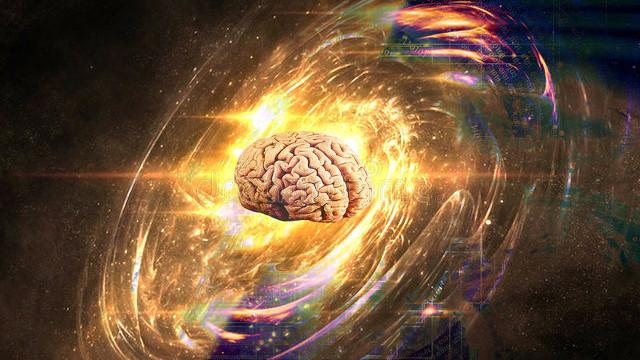 宇宙中的生命奇点：解析生命本质的时空维度与精神内涵