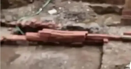 广州一遗址挖出手臂长生蚝壳，宋代生蚝是贵族专属还是平民口粮​