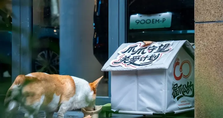 领克车主爱心社区，为爱集结