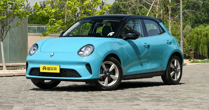 春日街头“显眼包”，欧拉好猫为什么它会成为小姐姐们的最爱？