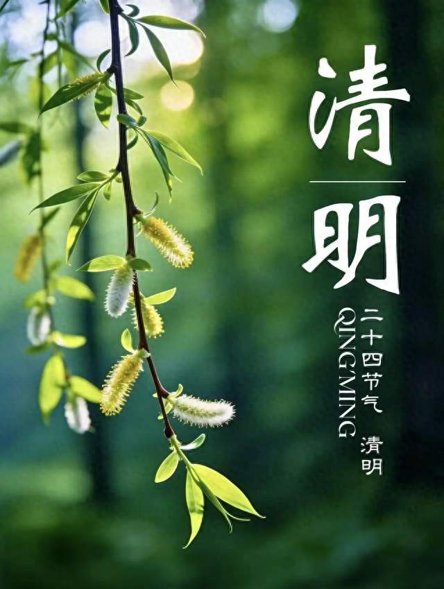 洞天春.丙午清明节