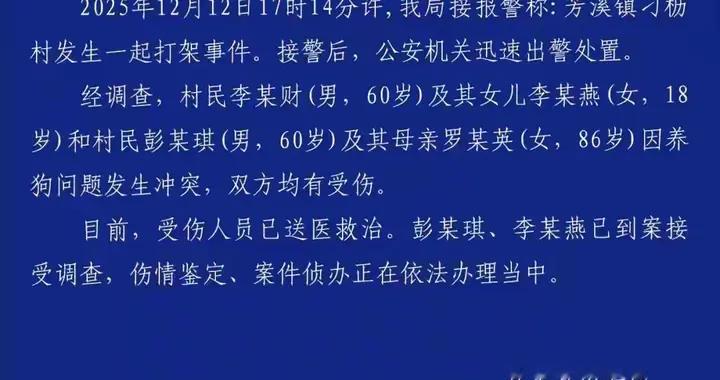 江西残疾老人遭三年连击监控拍下拦救老太，病危后真相才露出水面