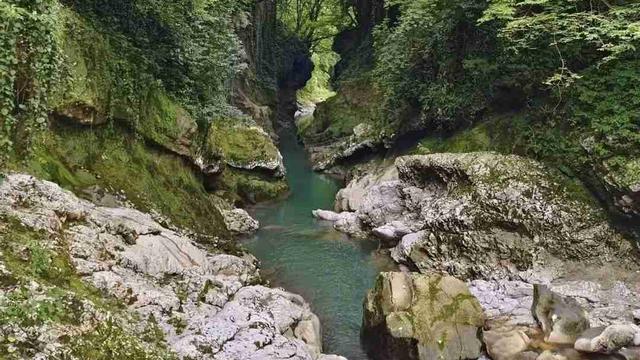 风中的诺言：我的今