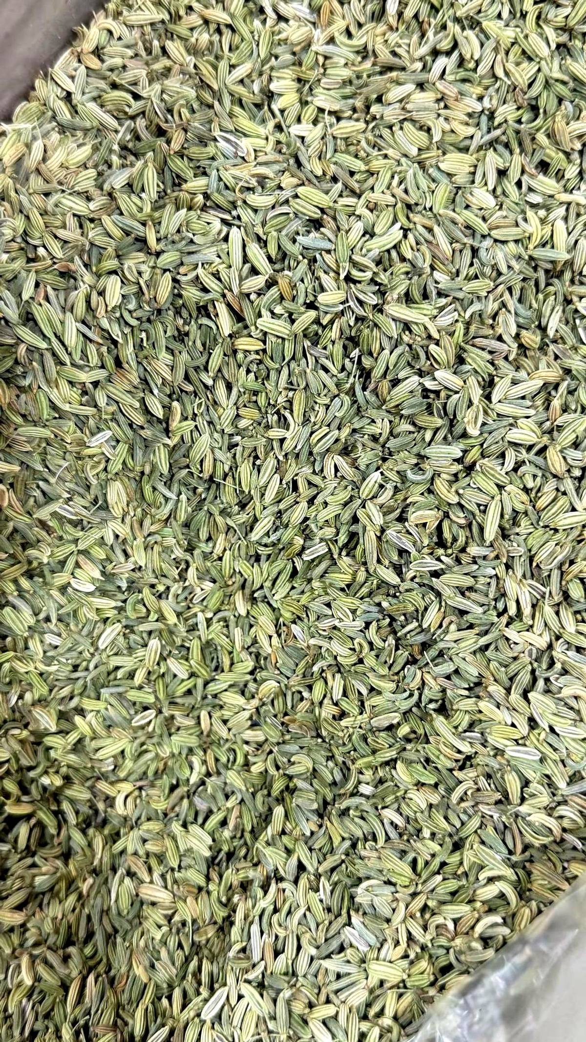 17比17，决胜局！墨菲手心冒汗，吴宜泽趴在球桌上，全场安静得能听到心...