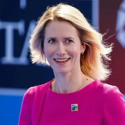 斜雨骑驴观沧海：目前没有主流学术研究或国