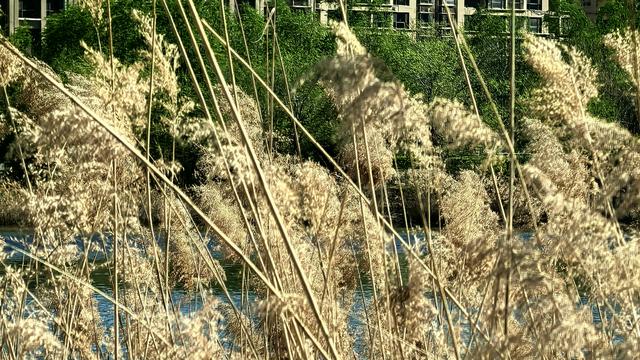 蒲根蒲草：在这个世界上，想走捷径的人肯定