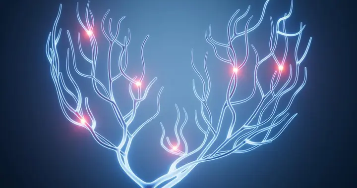 脑小血管病：被忽视的“大脑晴雨表”