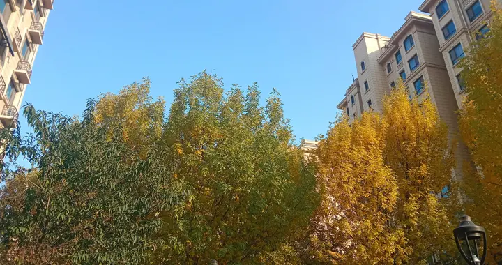 记住，跟任何人都要少说话，这九件事，不要随便跟人聊
