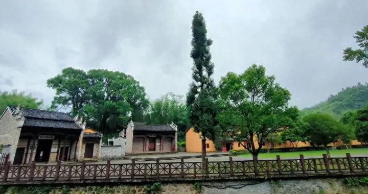 七旬母亲拒儿女周末回家，做饭累到端锅手抖，真相扎心