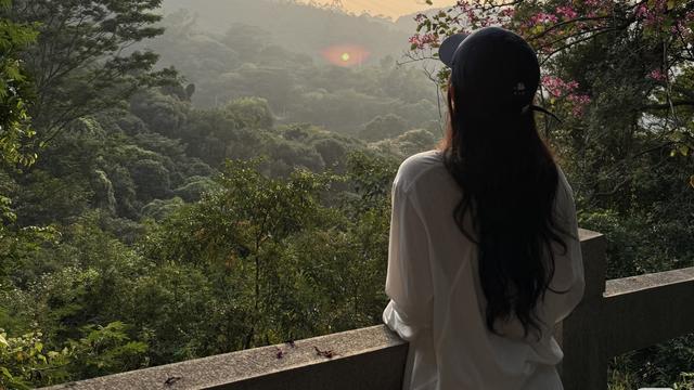 冈上望流云：老公执意要收养大姑姐的孩子