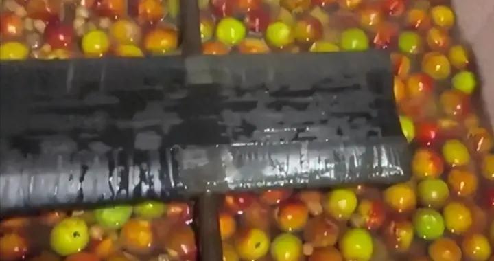 继泡药杨梅后，又一水果大规模塌房了！水果安全问题为何治不改？