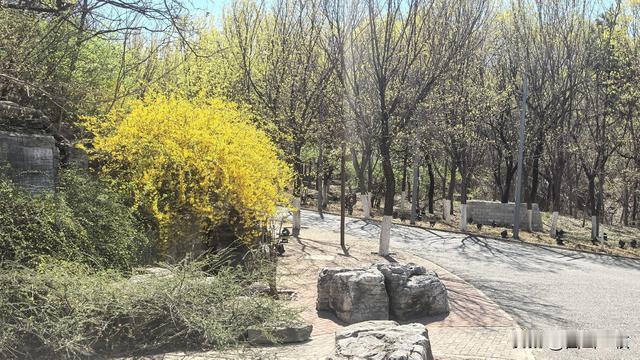 西山一牧：如果说《潜伏》是谍战连续剧的天