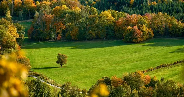 账户又现“存在风险”？别慌！手把手教你搞定亚马逊巴西站验证