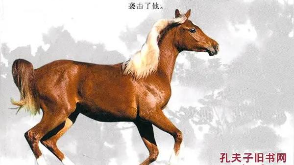 淡定白云ni7：哈哈，这吐槽简直精准到位