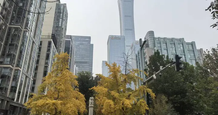 上市第二年就亏，不到三年涉嫌虚报财务数据，清越科技股民可索赔