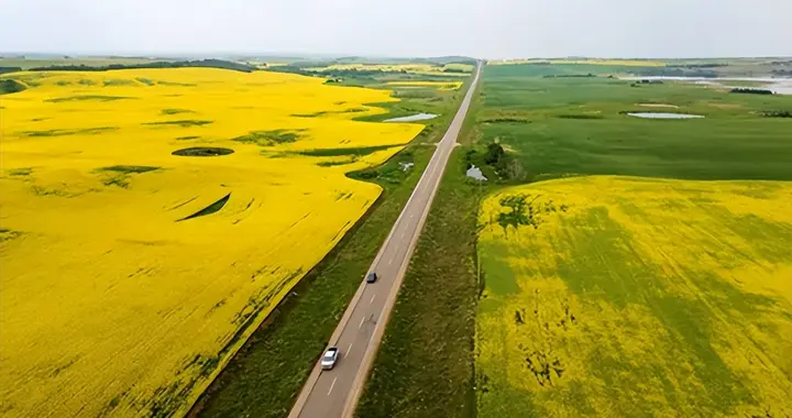 中方大单已到位！加拿大喊话美国：绝不撤回，特朗普致电也没用