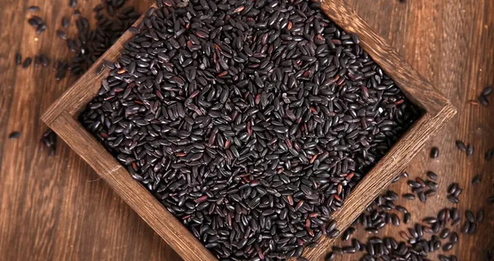 黑米立大功！中国科学家最新研究：补充120天，生存时间延长12.6%