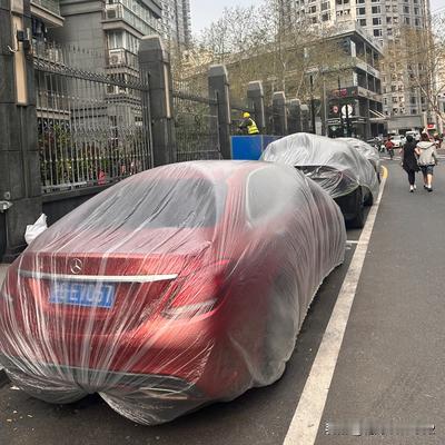 花儿朵朵1992：上海真是全国闻名的灯塔