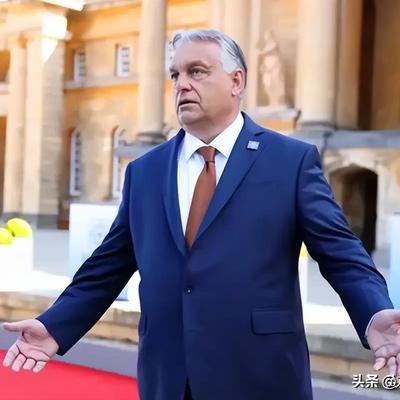 友爱海燕Rq：这么快就认怂？ 匈牙利此前