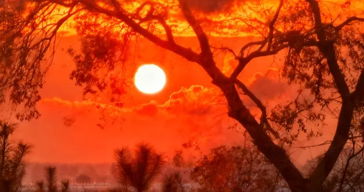 回故乡佳木斯参加外甥婚礼，又是重阳节。故乡山水故乡情，心情格