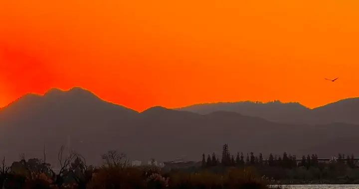 0公里二手车，已经泛滥了。