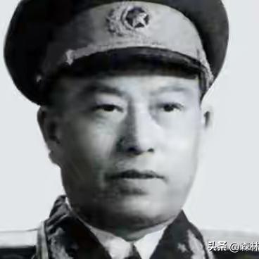 森林里倾听鸟语者：1950年3月的深夜