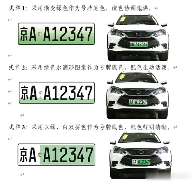 雷军建议优化新能源汽车号牌设计，其他国家的新能源车牌是什么样