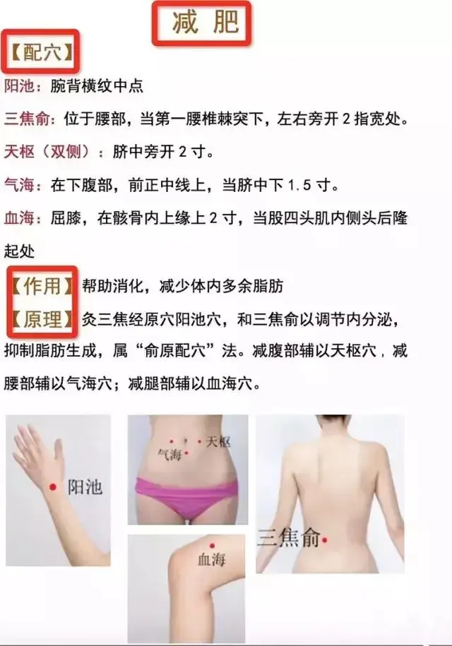 相当全的穴位图【使用方法】