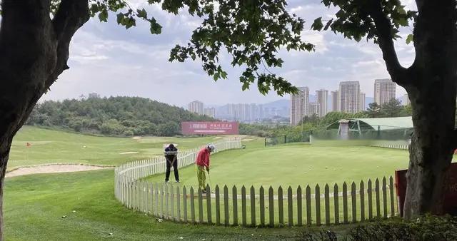 皇子犯法与庶民同罪：土地违法不分大小主体，执法理应一视同仁！