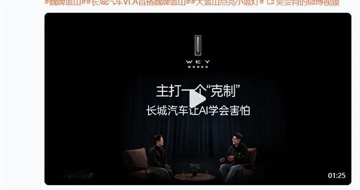 长城汽车魏建军：技术要为用户提供价值 不能为了炫技